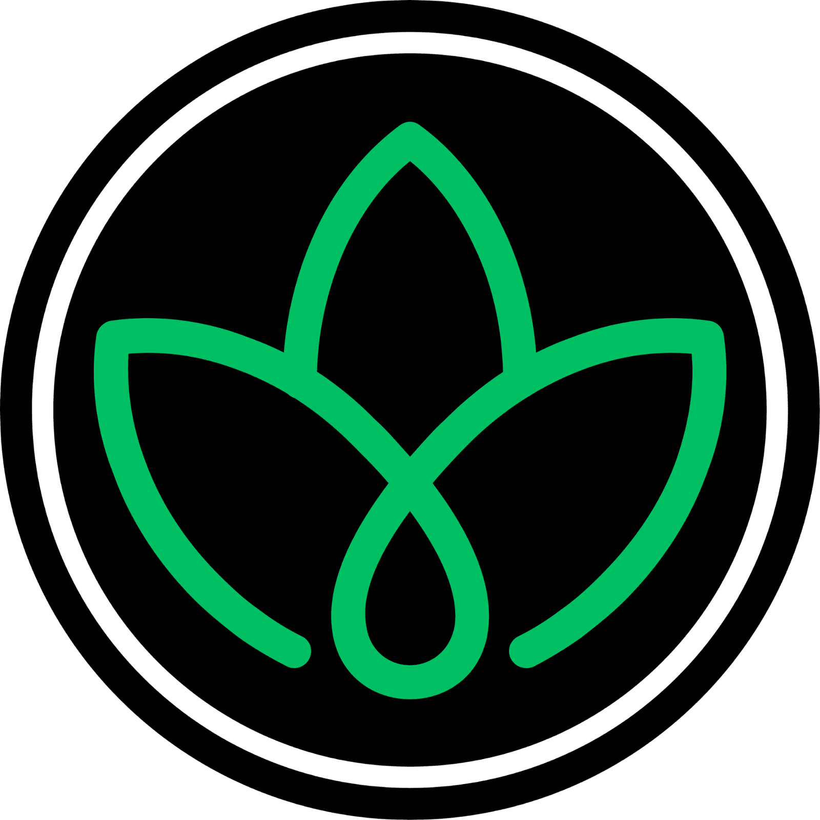 NextBranch Solutions